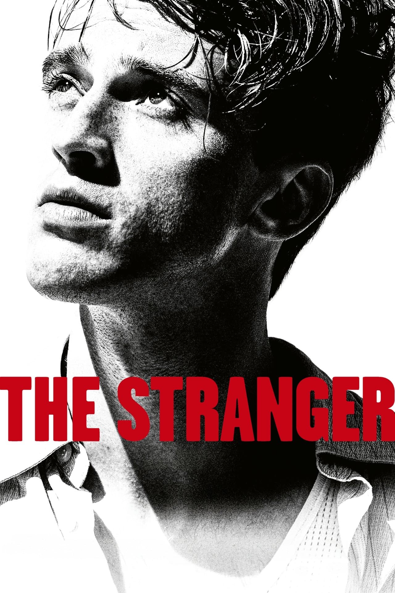 The Stranger streaming
