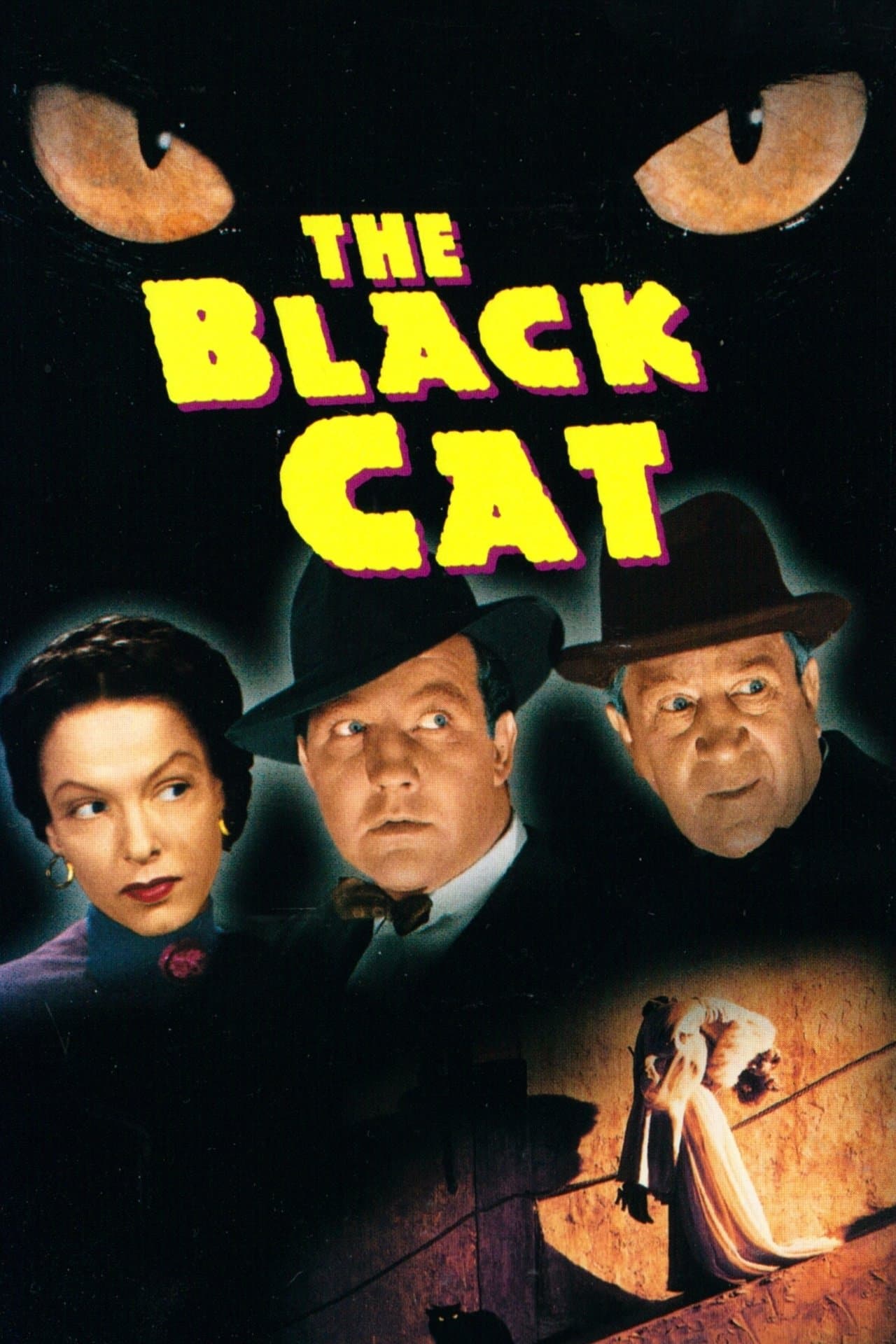 Le chat noir streaming