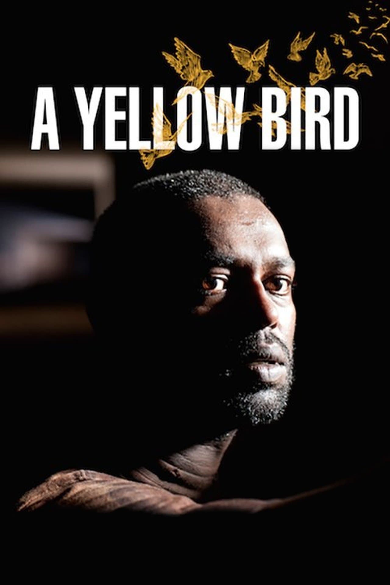 A Yellow Bird streaming