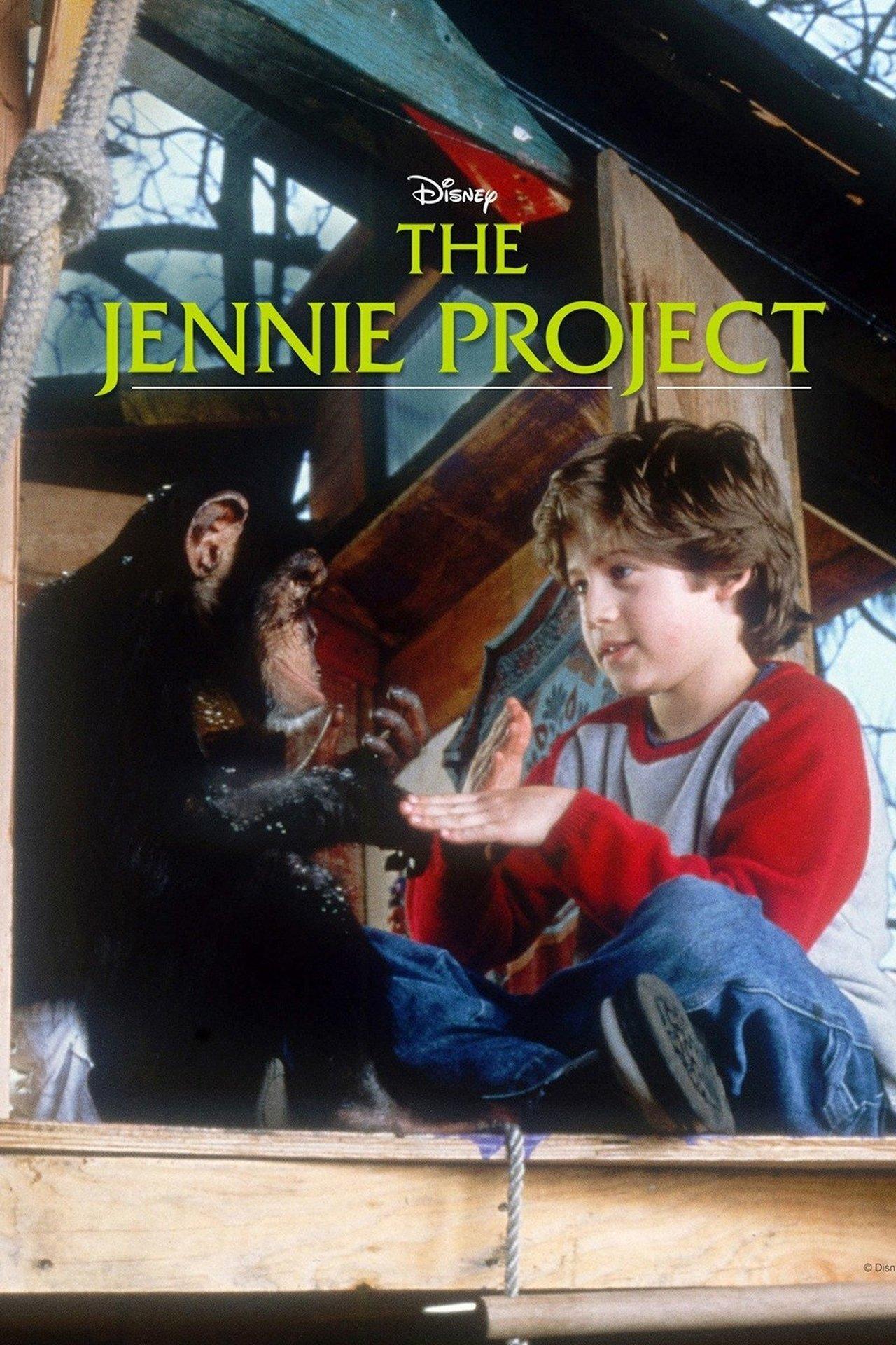 The Jennie Project streaming