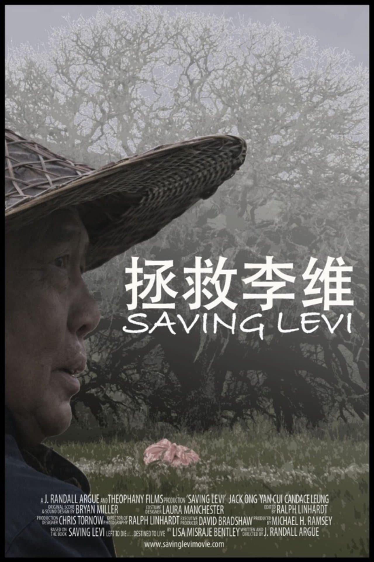 Saving Levi streaming