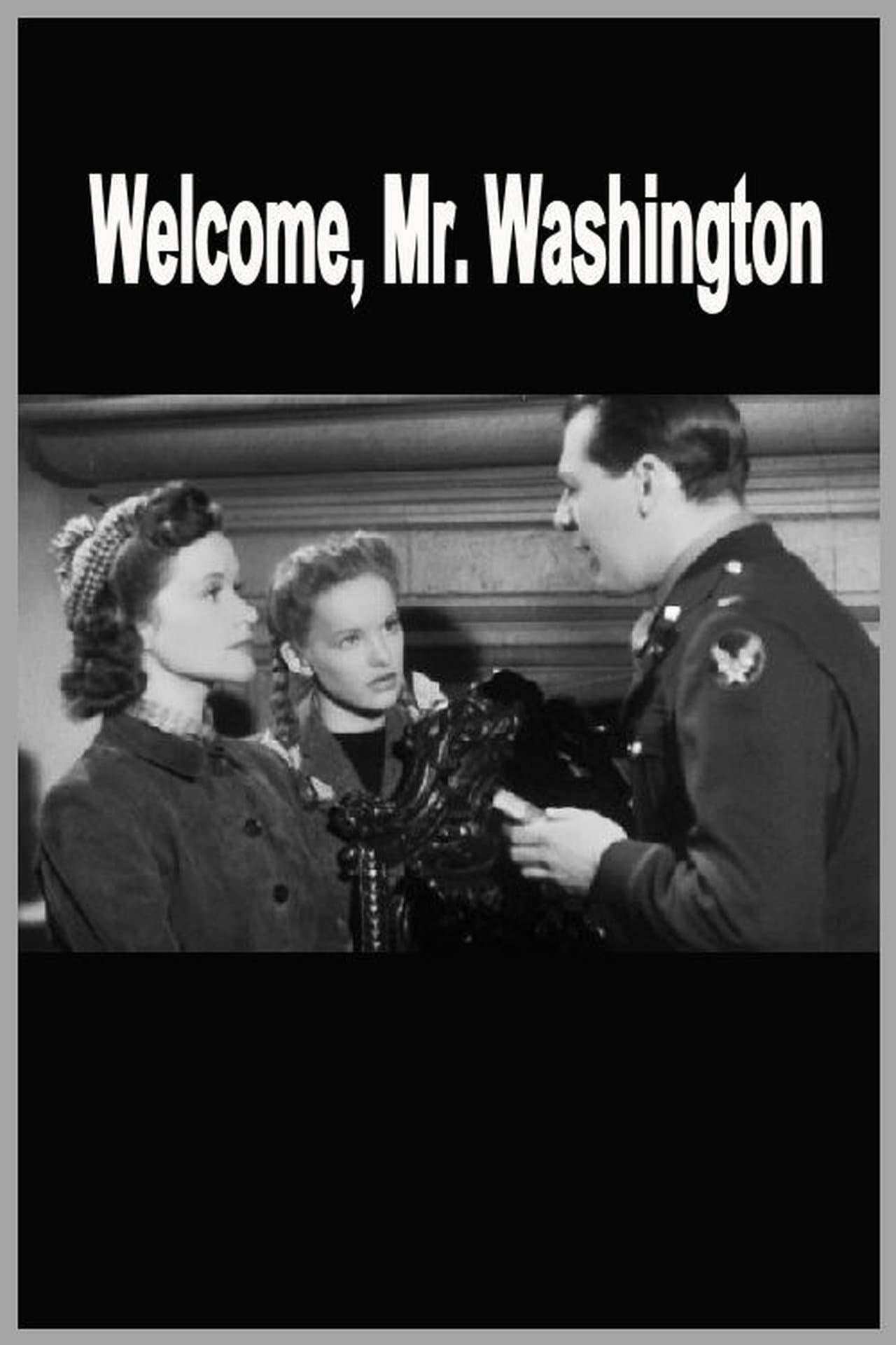 Welcome, Mr Washington streaming