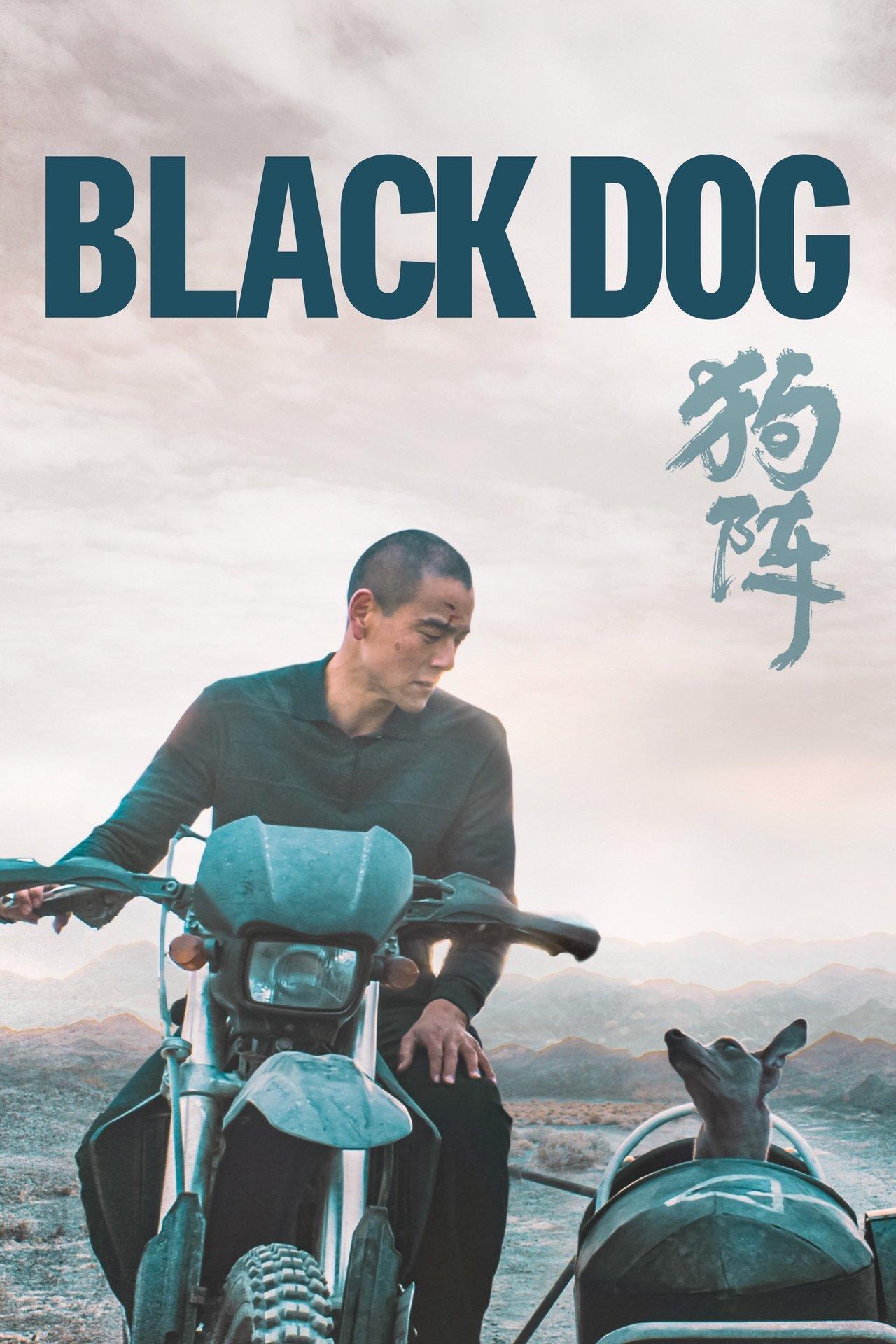 Black Dog streaming