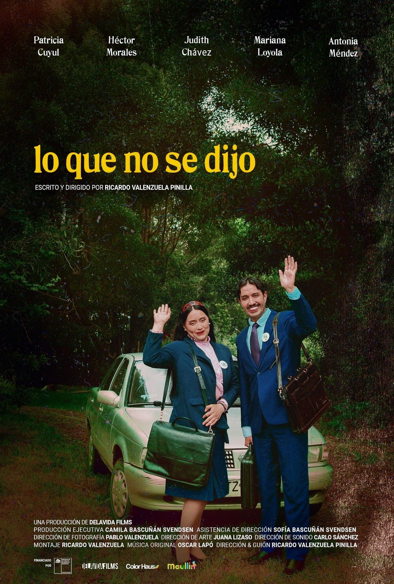 Lo que no se dijo streaming