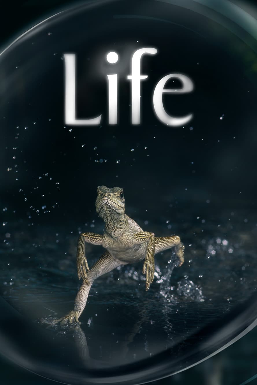 Life streaming
