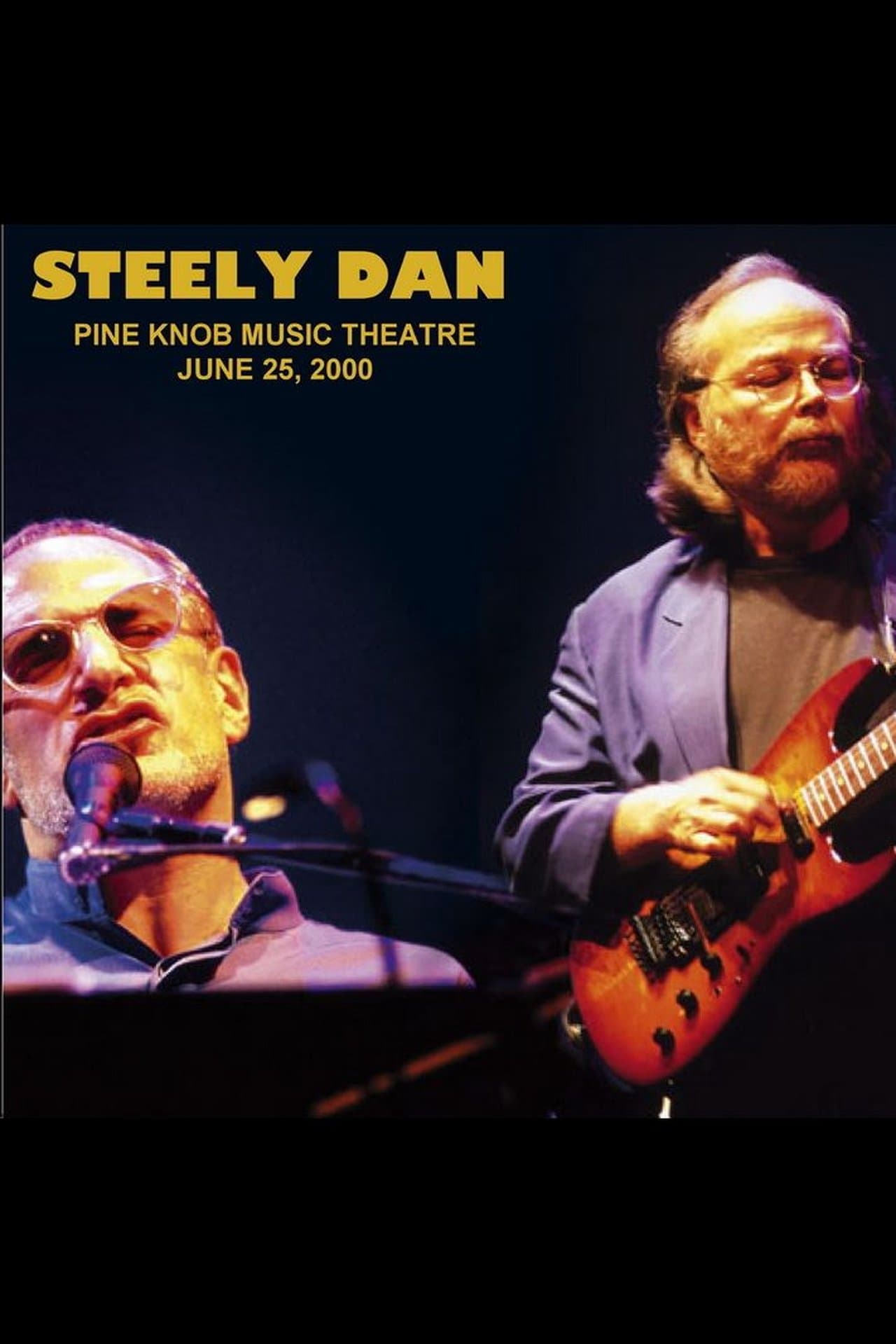 Steely Dan: Live at Pine Knob Theatre streaming
