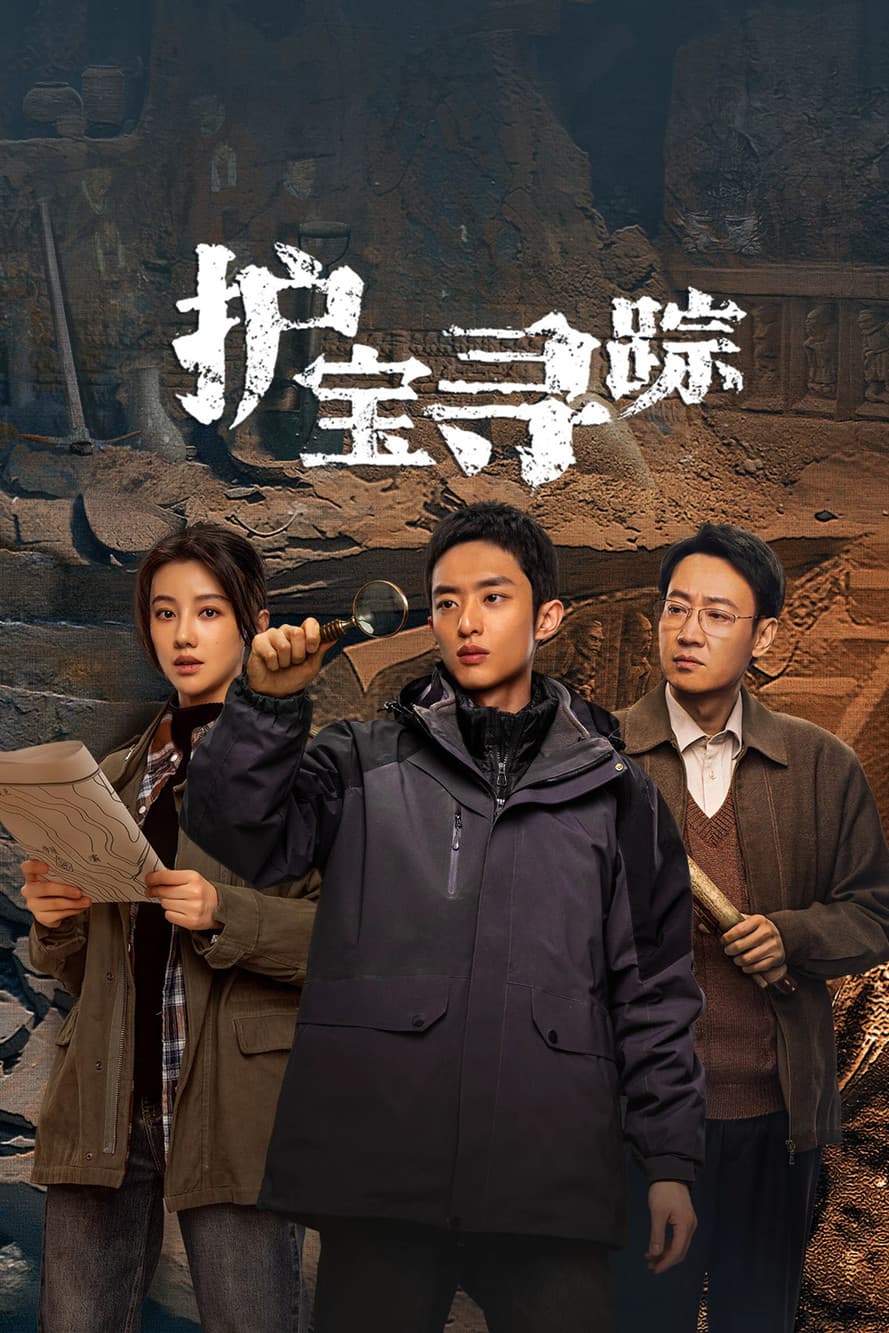 护宝寻踪 streaming