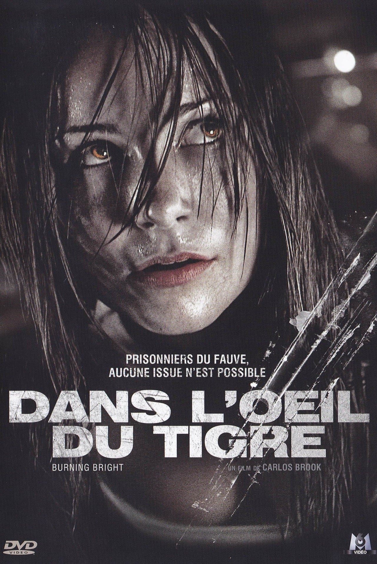 Dans l'œil du tigre streaming