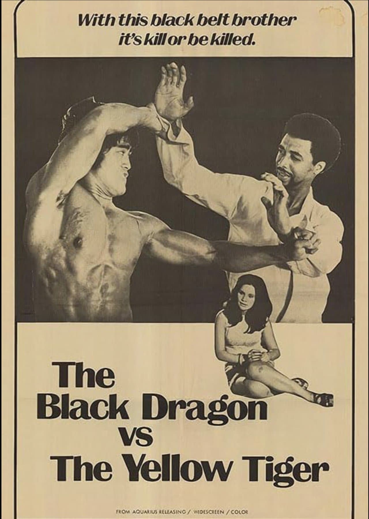 The Black Dragon vs. the Yellow Tiger streaming