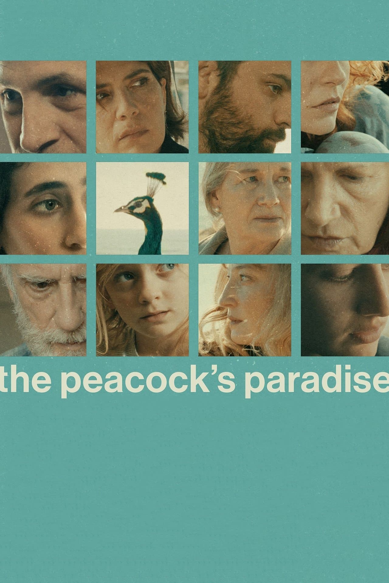 The Peacock’s Paradise streaming
