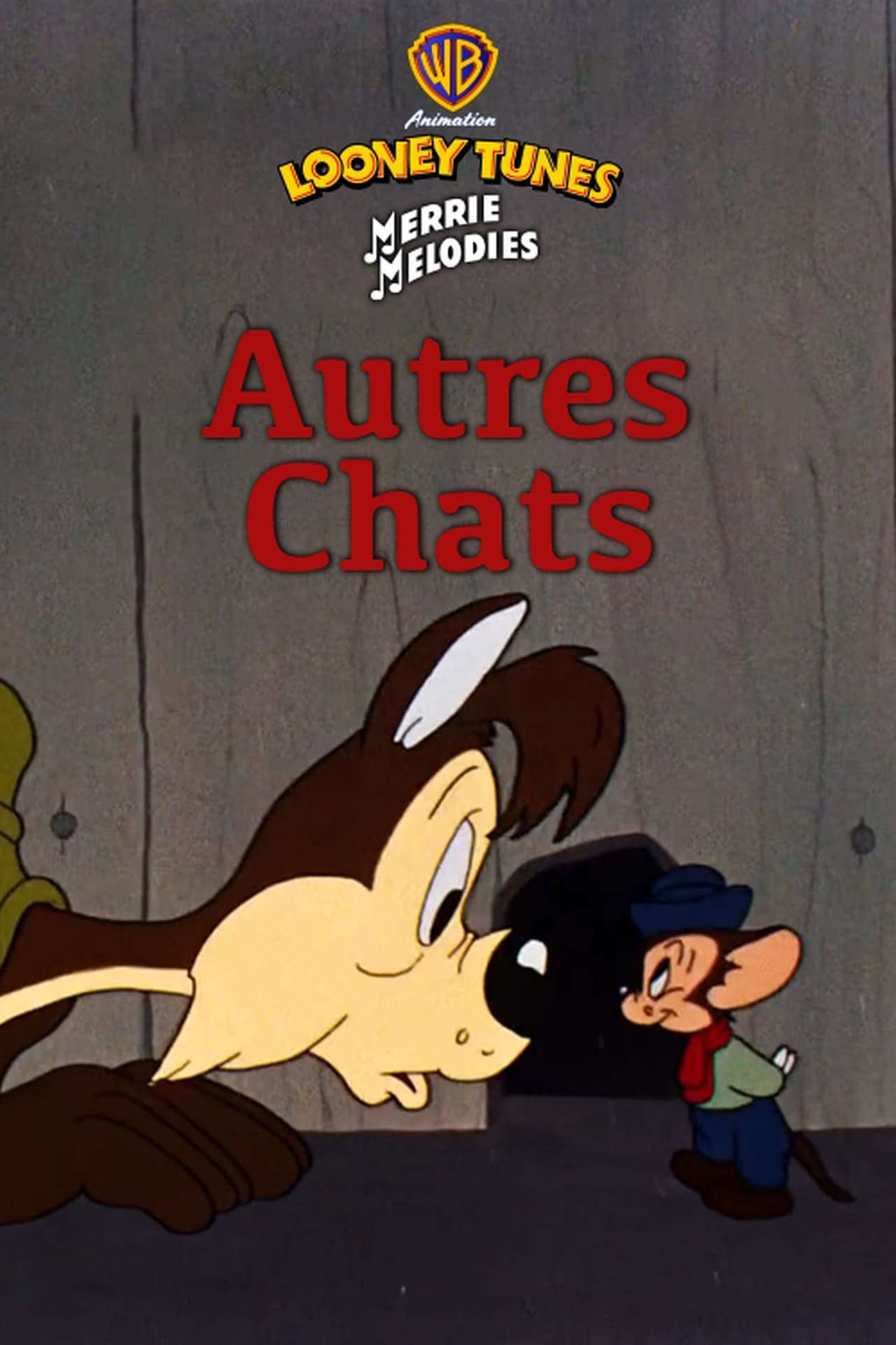 Autre chats streaming