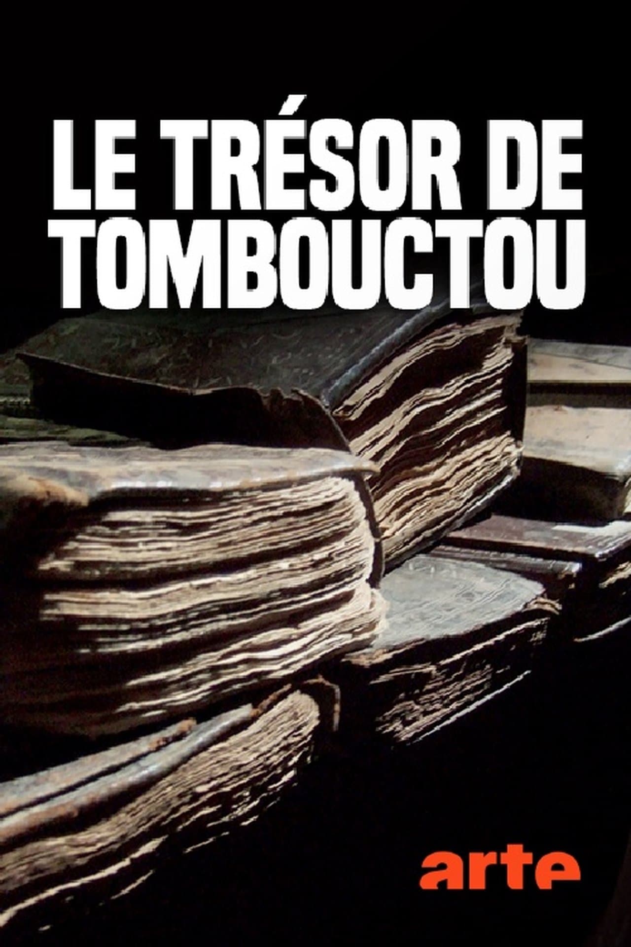 Le trésor de Tombouctou, l'histoire d'un sauvetage streaming