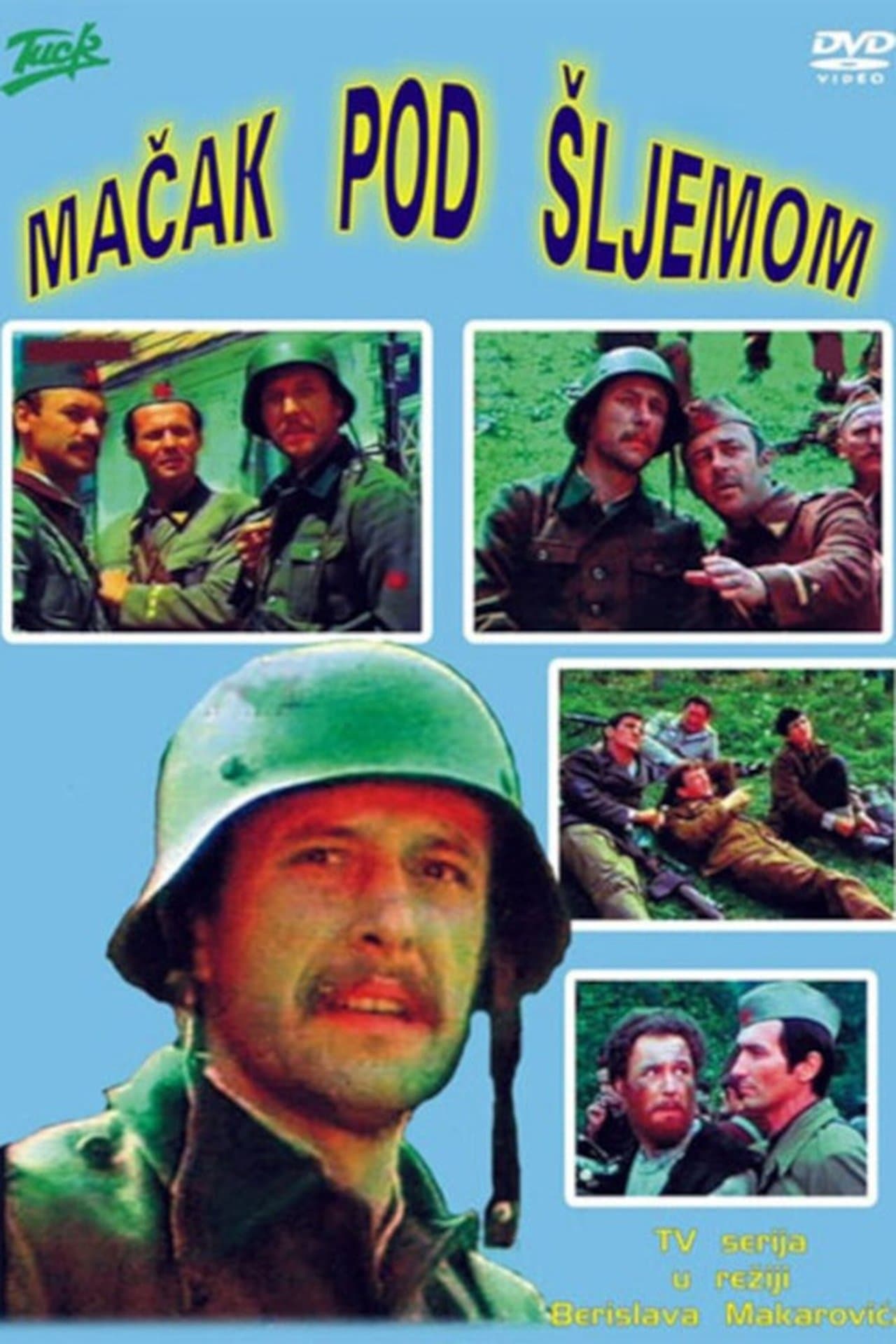 Cat Under a Helmet streaming