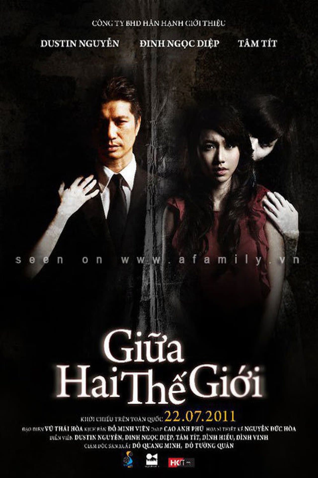 Giữa hai thế giới streaming