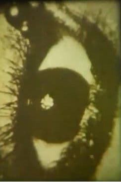 The Great Smoke streaming