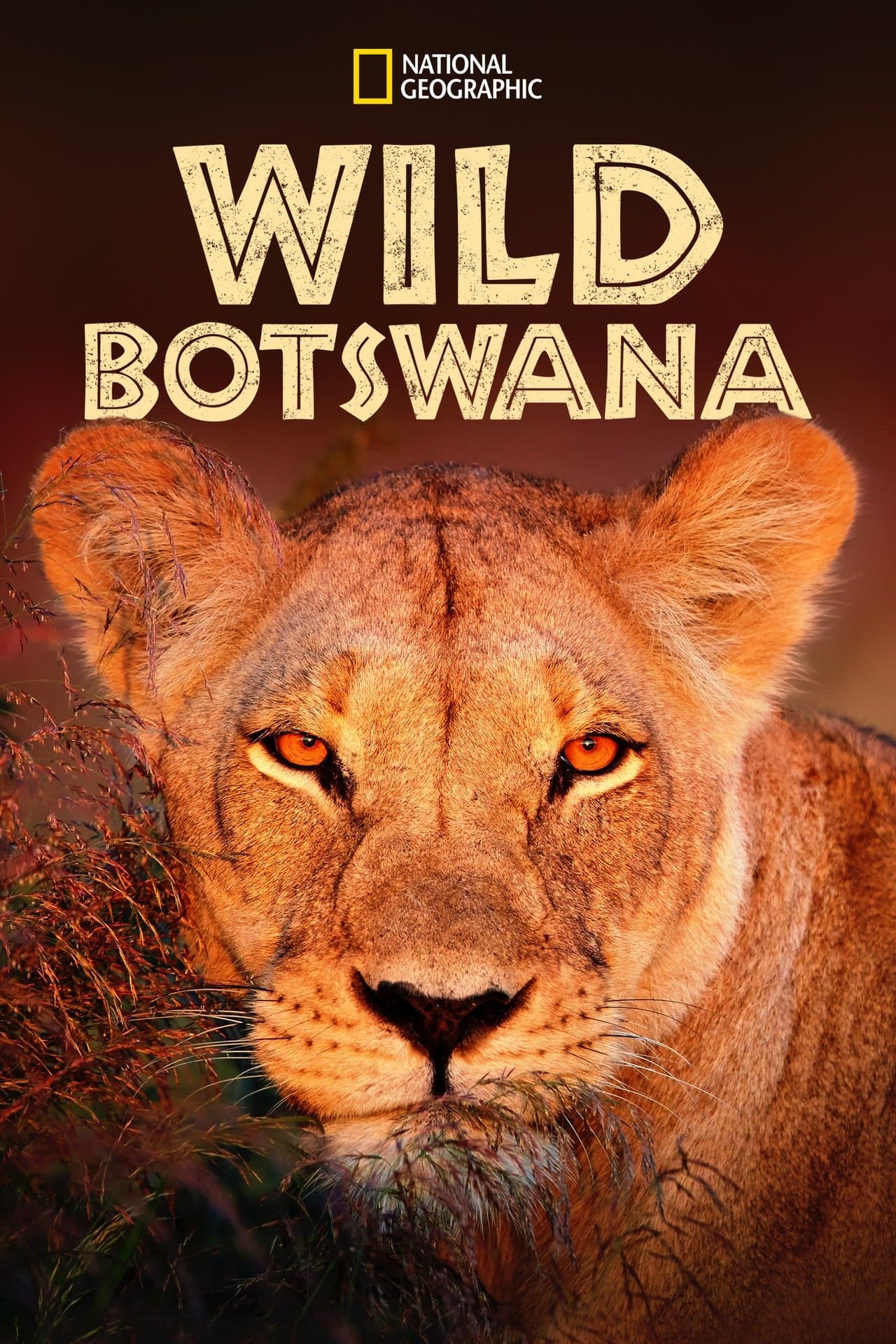 Wild Botswana streaming