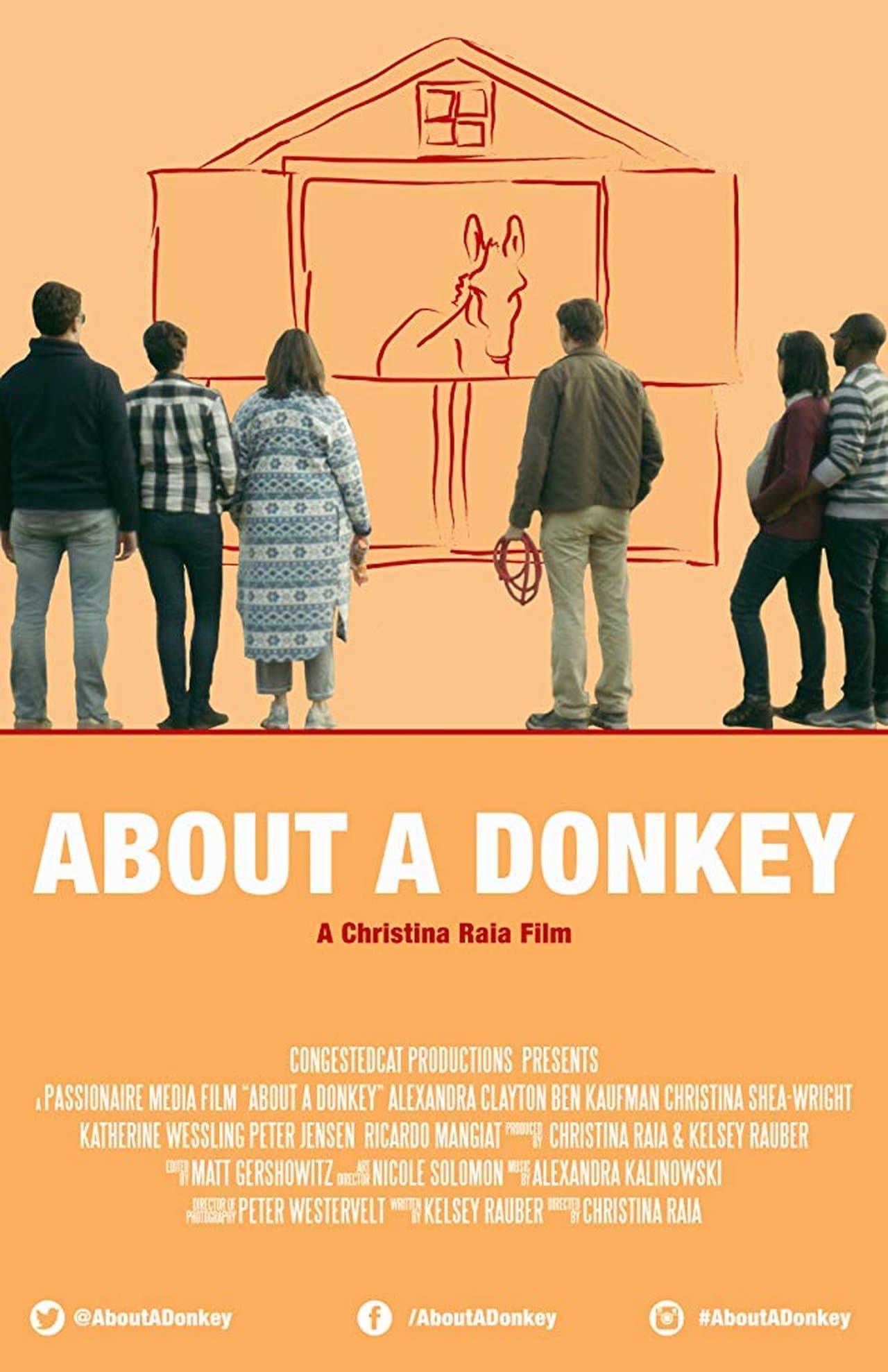 About a Donkey streaming