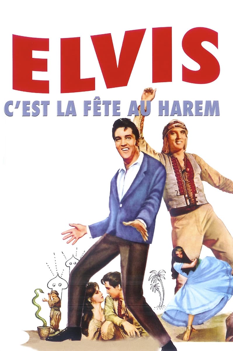 C'est la fête au harem streaming