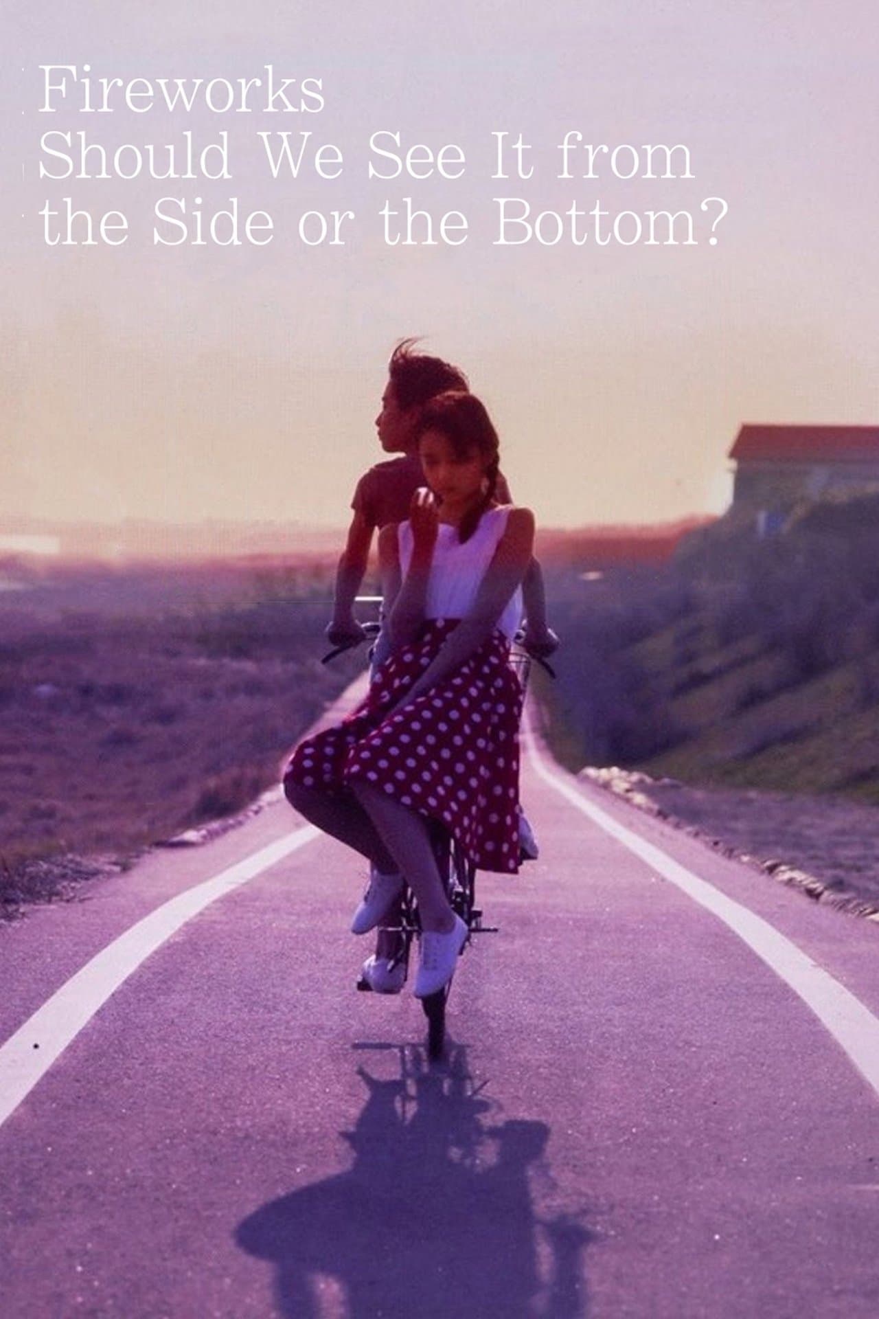 Fireworks, Should We See It from the Side or the Bottom? streaming