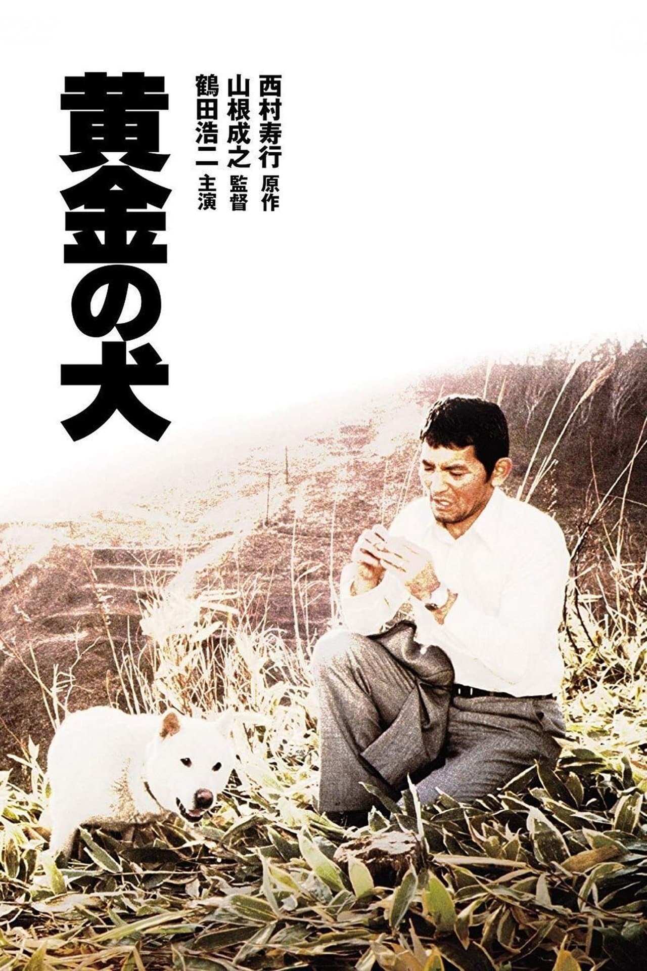 Dog of Fortune streaming