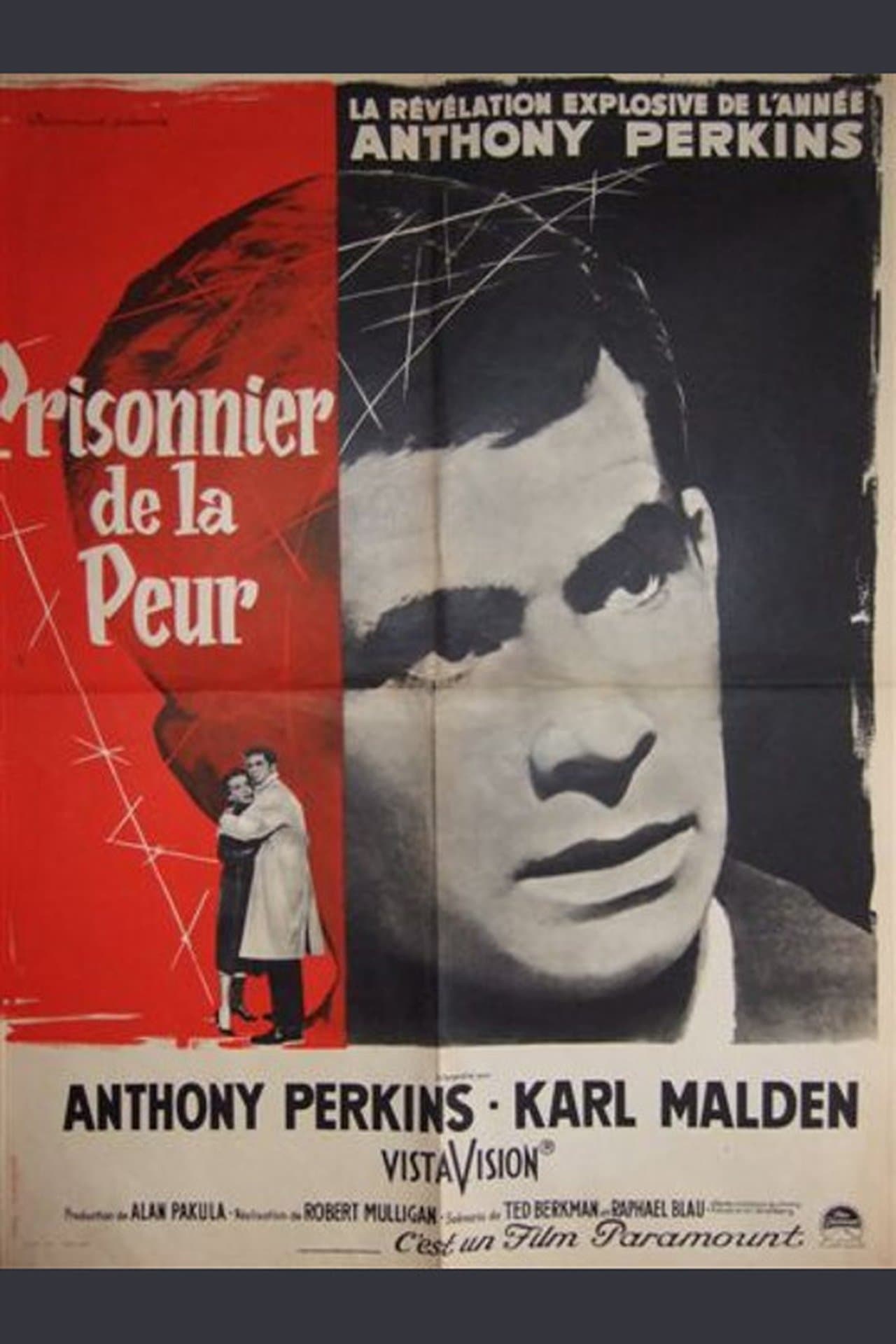 Prisonnier de la peur streaming