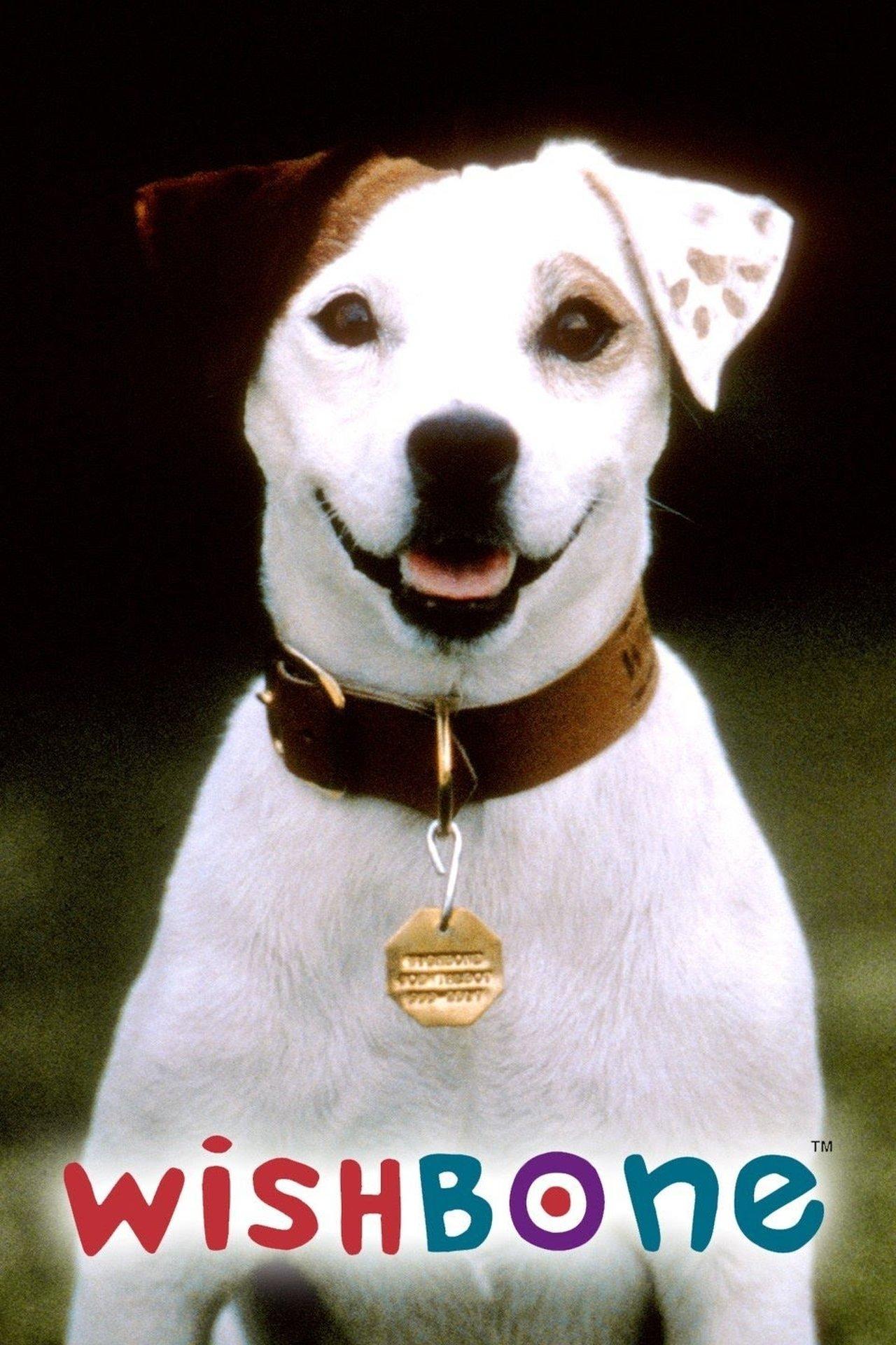 Wishbone streaming