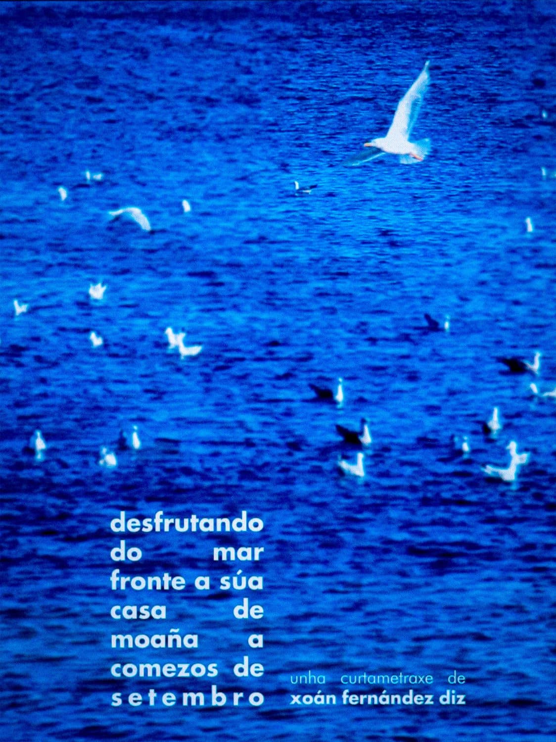 desfrutando do mar fronte a súa casa de moaña a comezos de setembro streaming