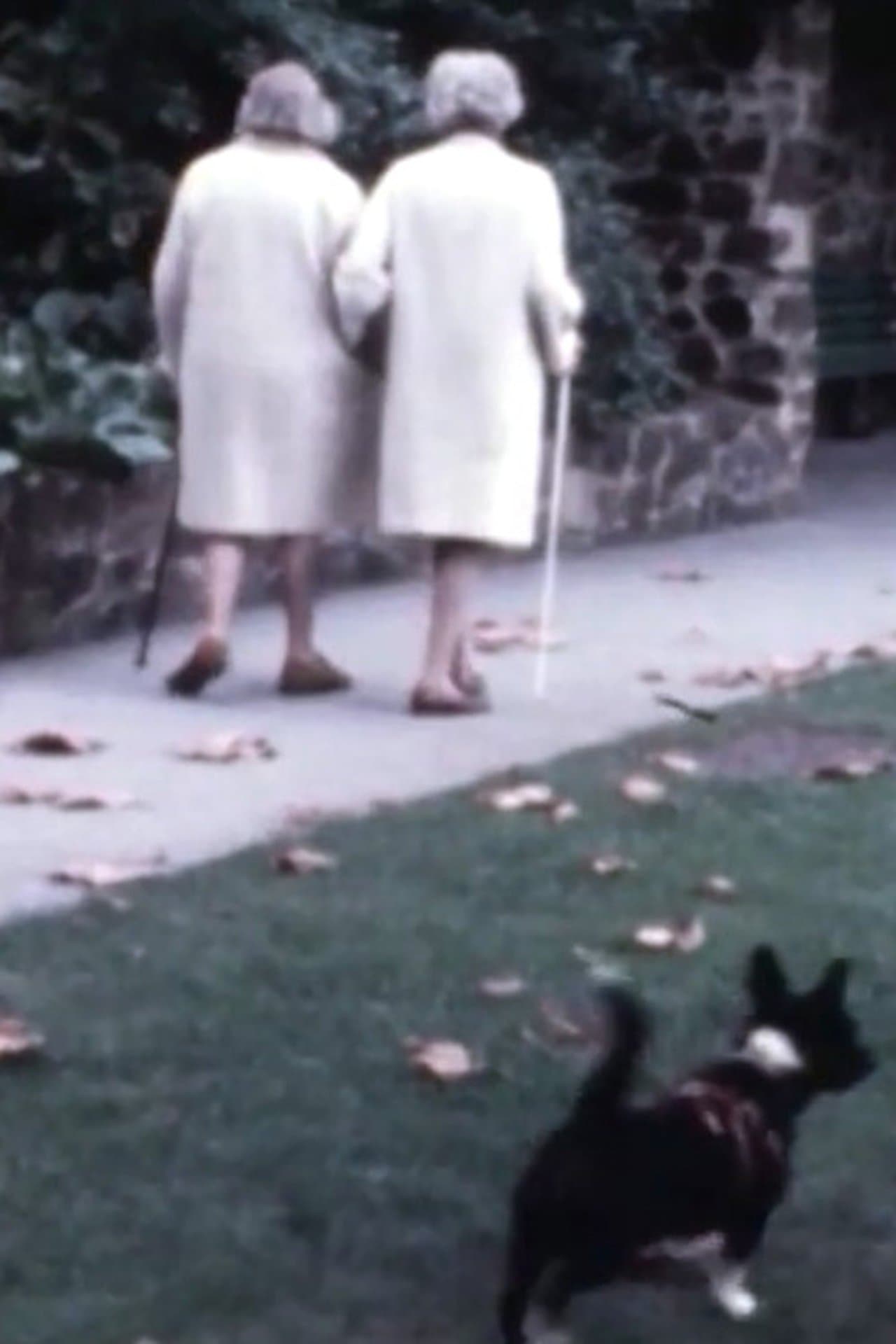 We Are All Alone My Dear streaming