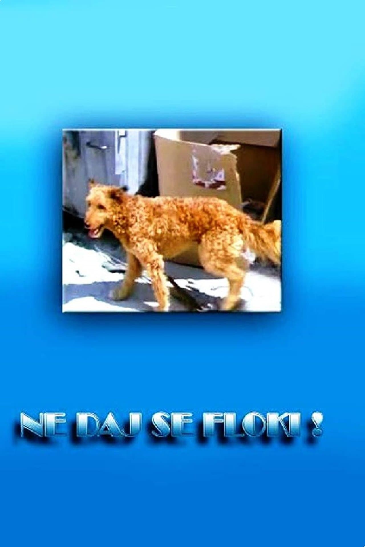 Ne daj se, Floki! streaming