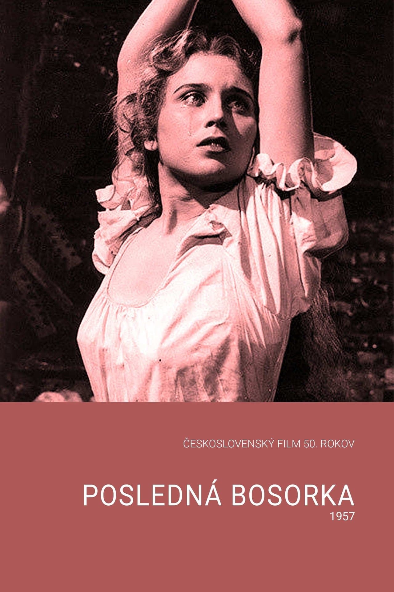 Posledná bosorka streaming