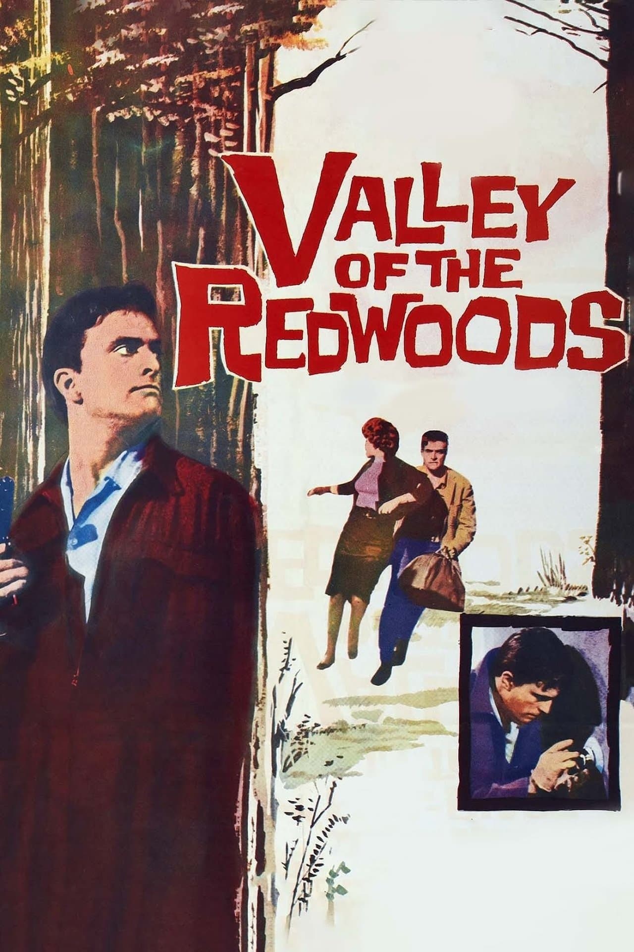 Valley of the Redwoods streaming