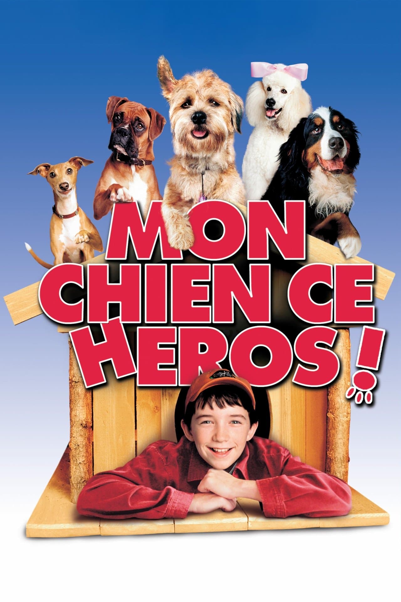Mon chien, ce héros ! streaming