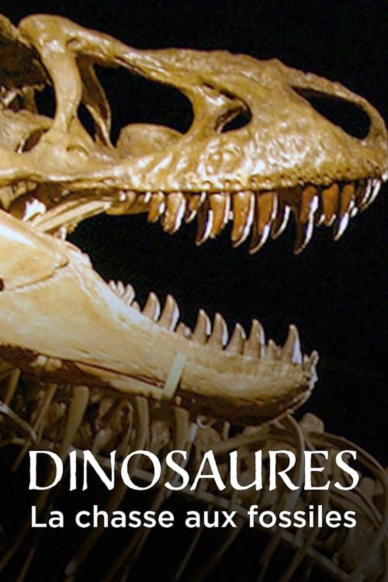 Bones : Dinosaures, la soif de l'os streaming