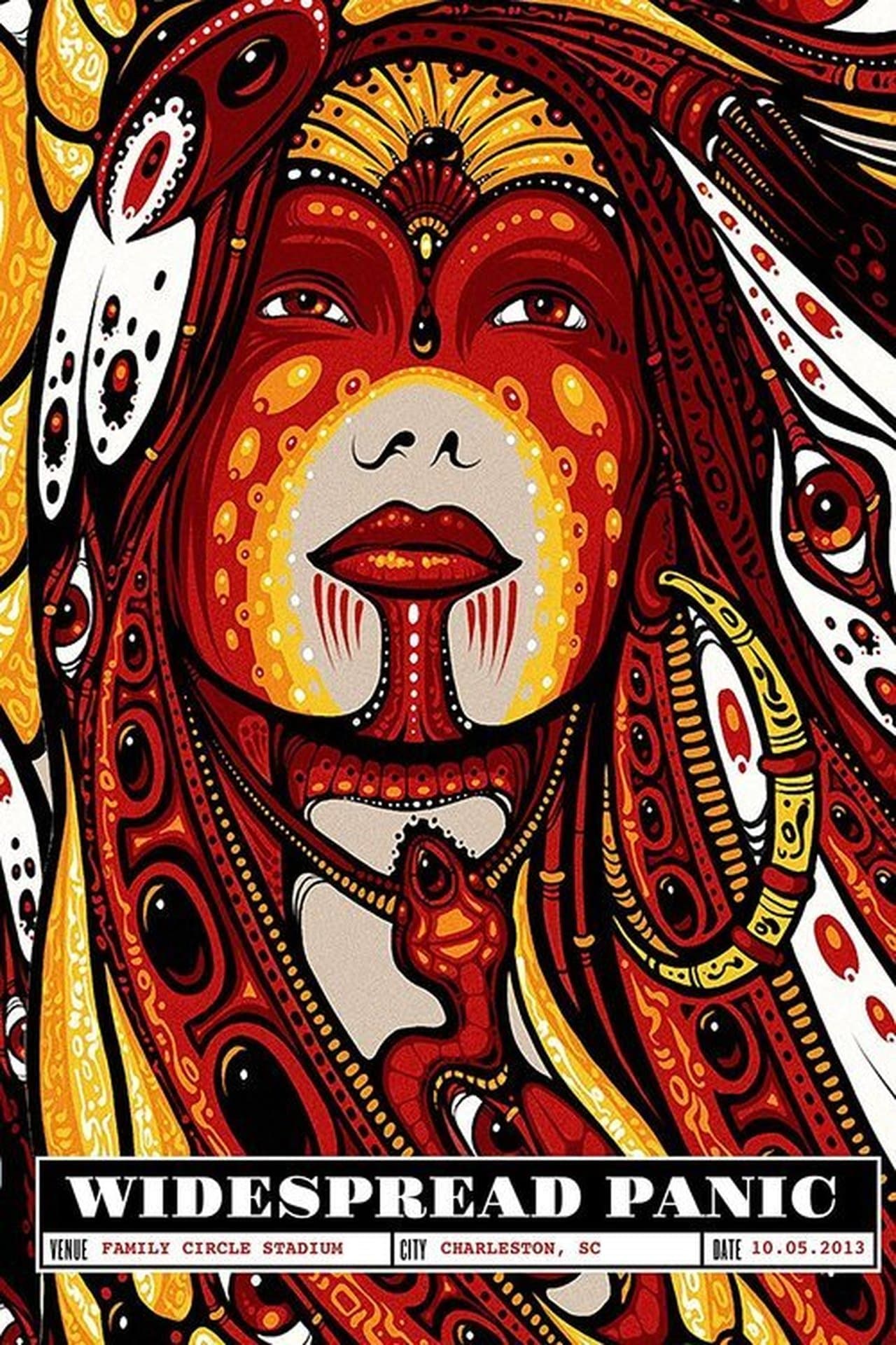 Widespread Panic: Live at Family Circle Stadium Charleston streaming