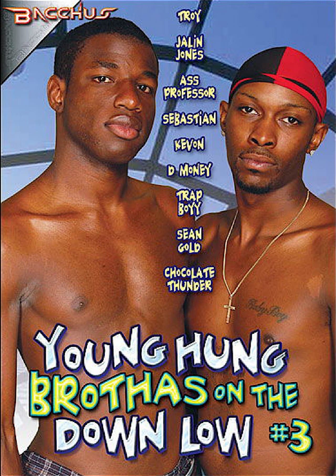Young Hung Brothas on the Down Low 3 streaming