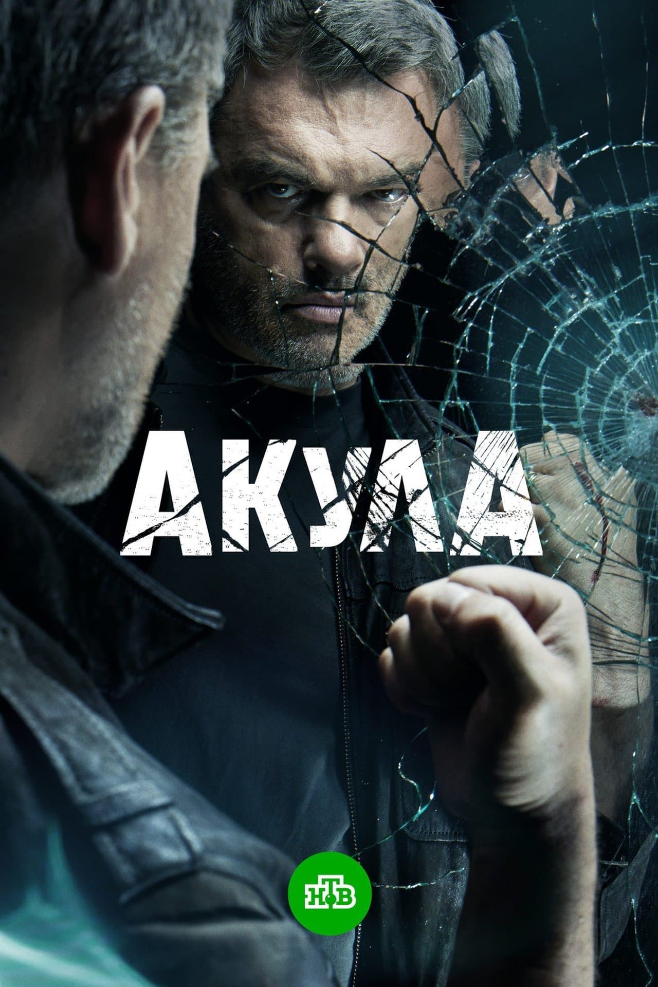 Акула streaming