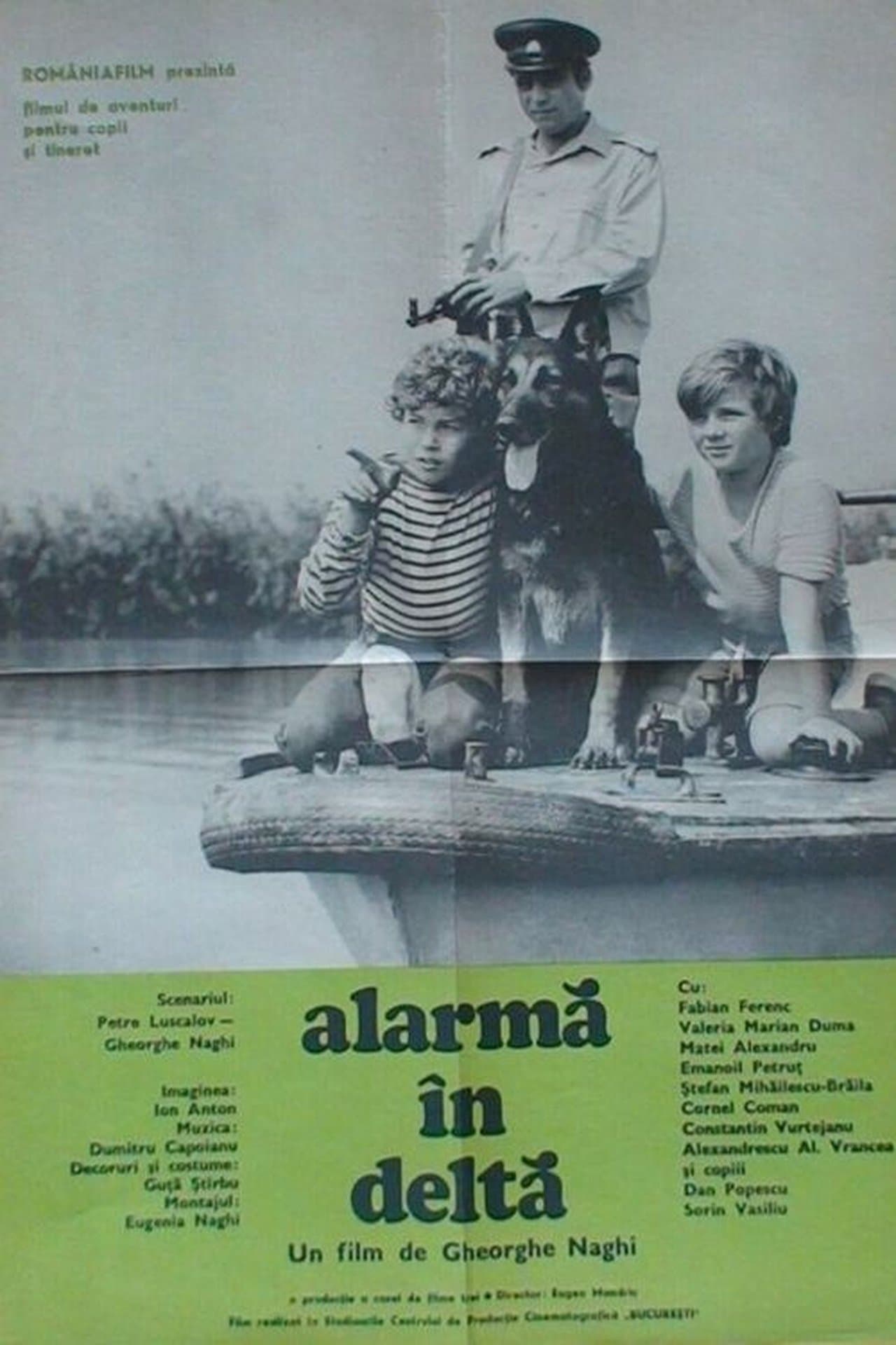 Alarm in the Delta streaming