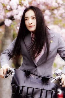 The Lawyer of Shimane streaming