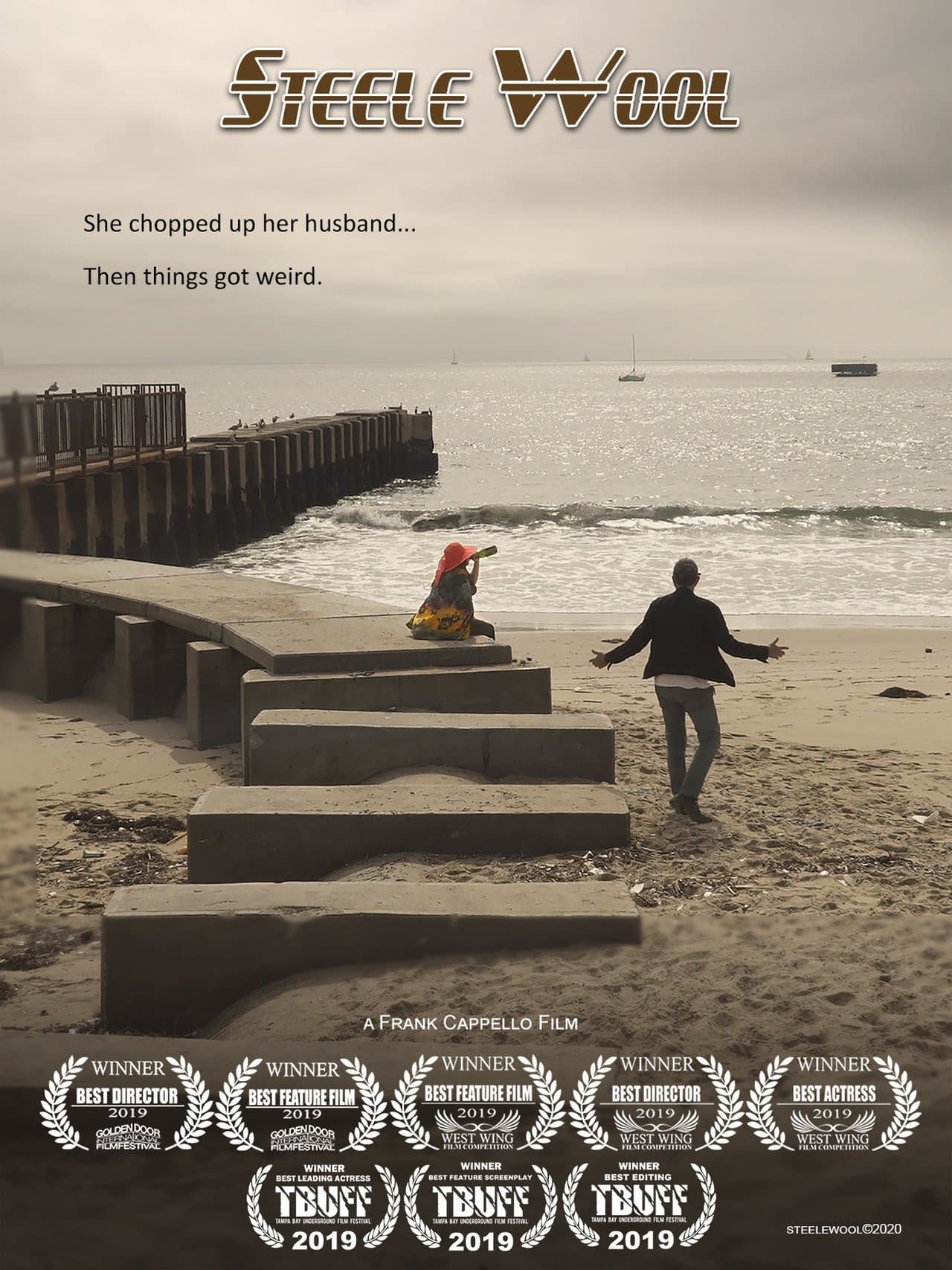 Steele Wool streaming