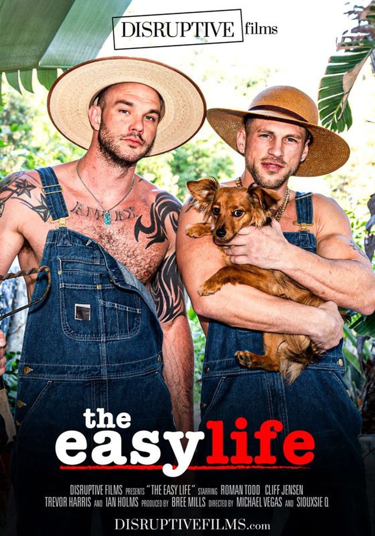 The Easy Life streaming