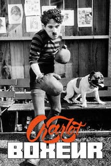 Charlot boxeur streaming