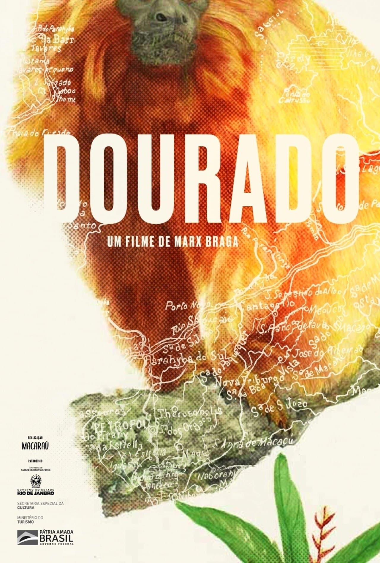 Dourado streaming