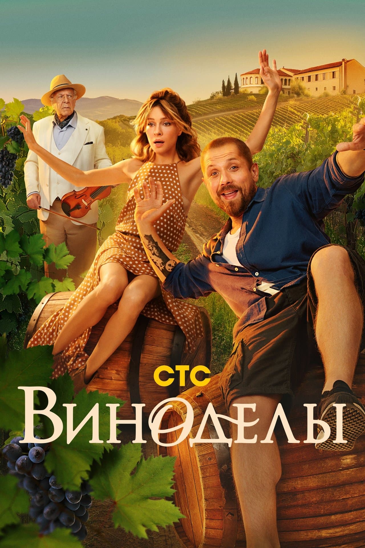 Виноделы streaming