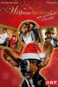 Un Noël de chien streaming