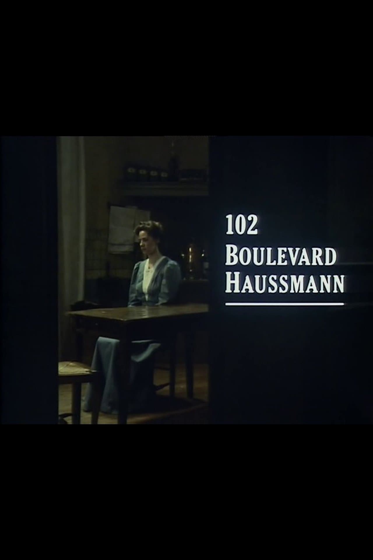 102 Boulevard Haussmann streaming