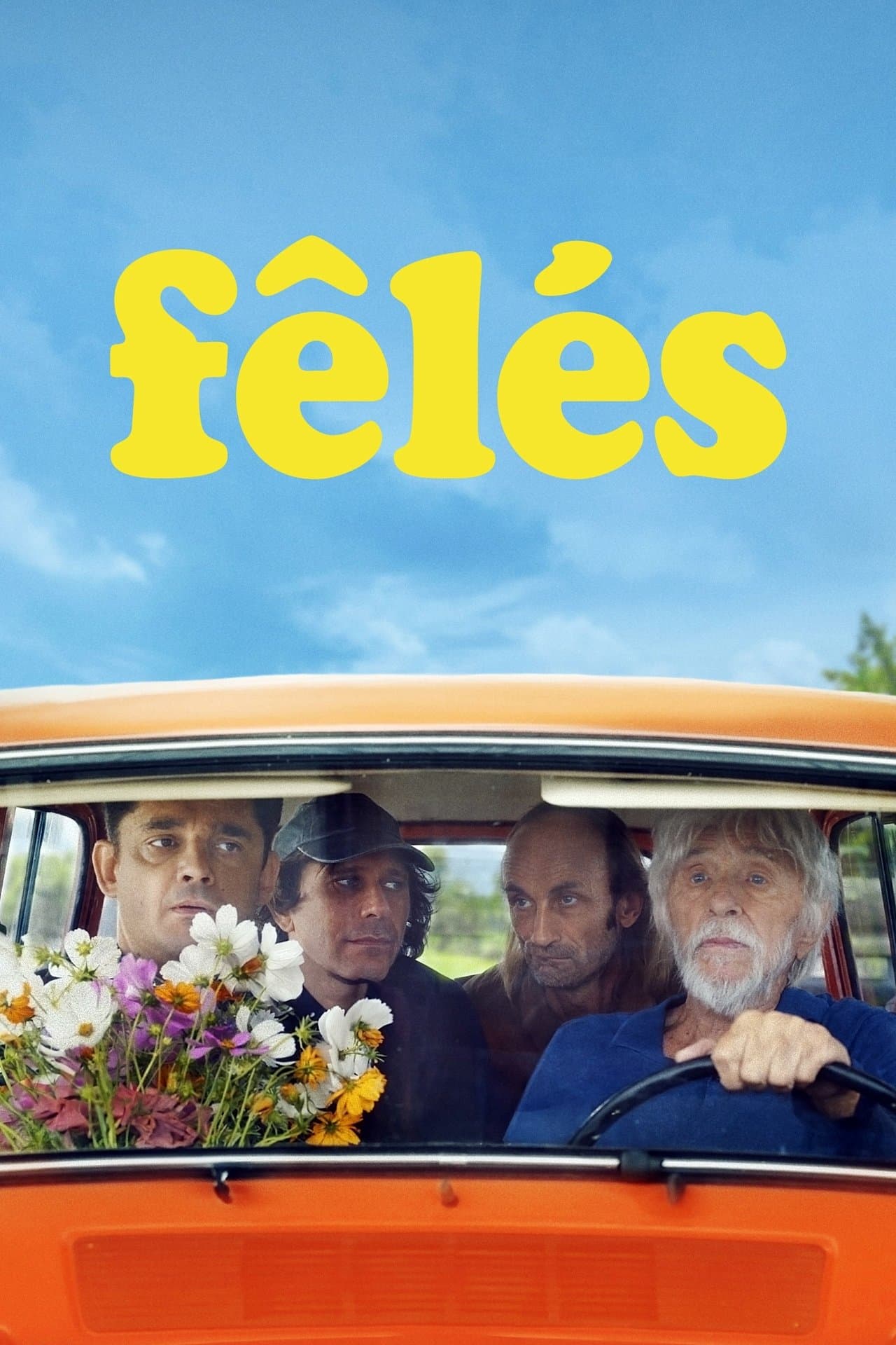 Fêlés streaming