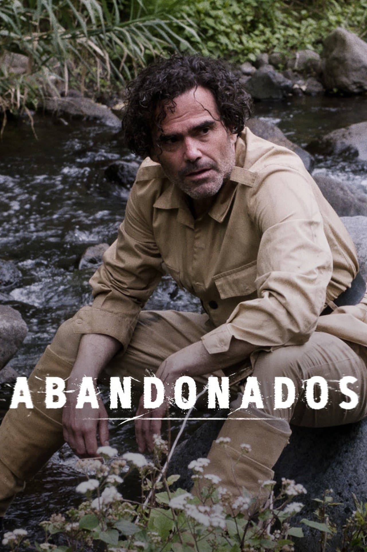 Abandonados streaming