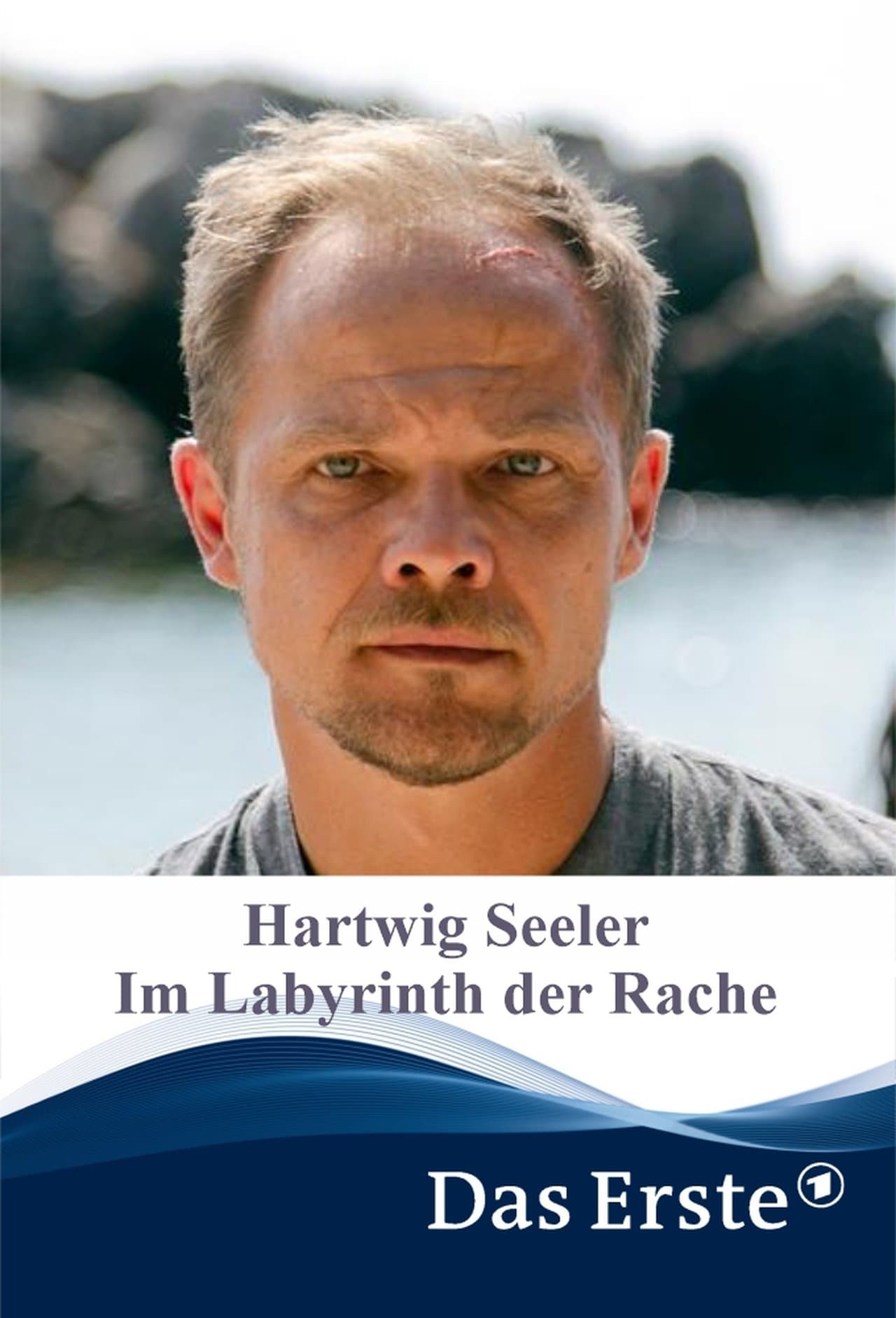 Hartwig Seeler – Im Labyrinth der Rache streaming