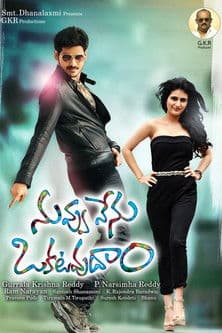 Nuvvu Nenu Okatavudaam streaming