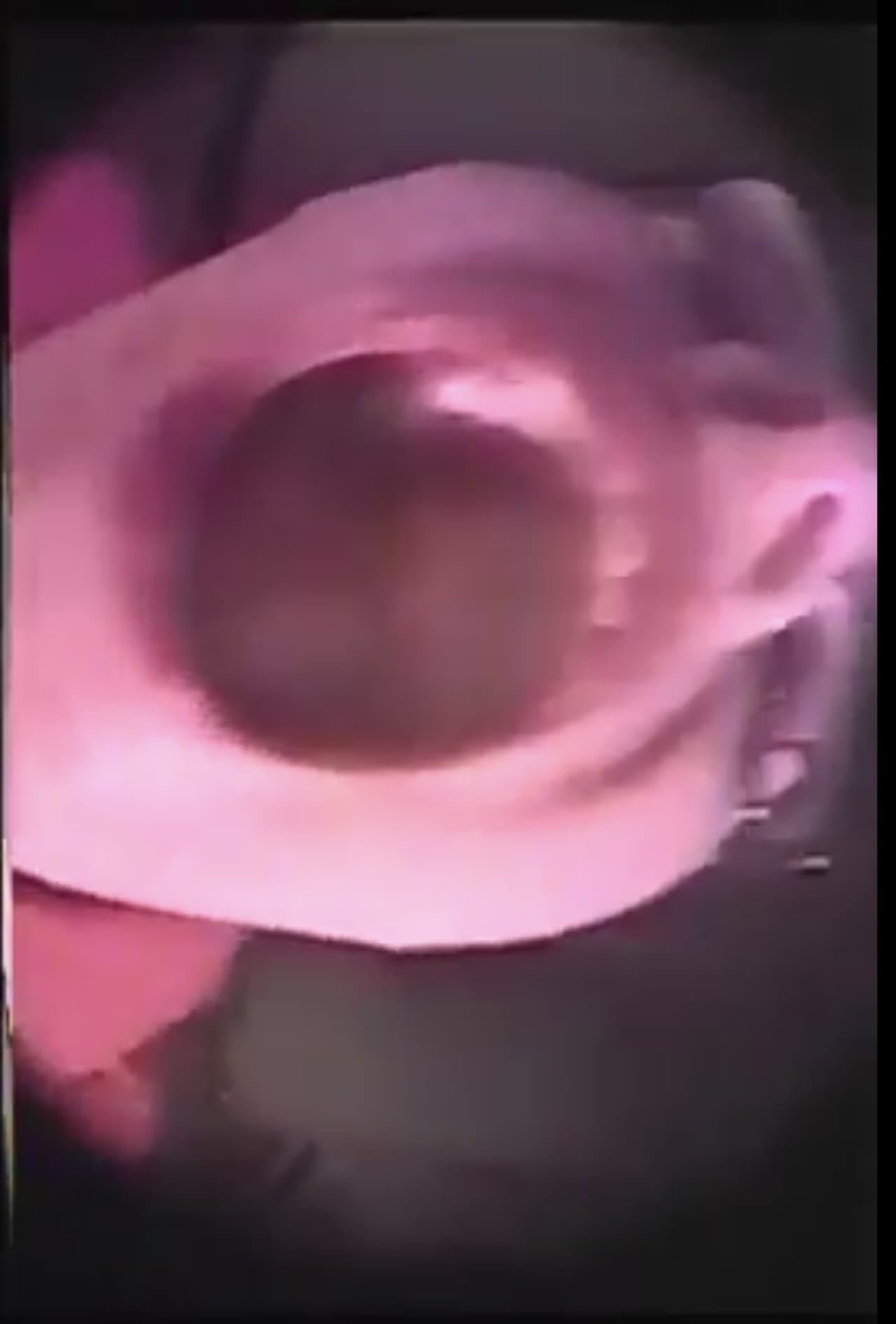 Tribute to Gloria Vanderbilt, Pt 2 streaming